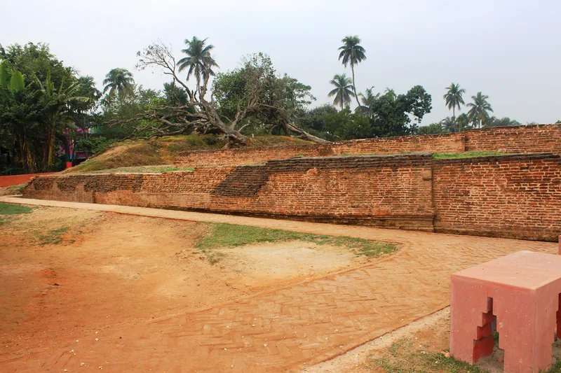 Ancient mound known as Varahamihirer Dhipi comprised in survey plot Nos. 1506, 1511, 1510, 1513, 1514, 1516 and part of survey plot Nos. 1507, 1509, 1512, 1508, 1515, 1517, 1518 and 1522 of mauza Deulia and survey plot No. 628 and part of survey plot Nos. 626 and 1622 of mauza Kaukepara — photograph 2