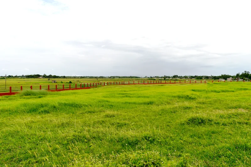 Ancient site and remains of Pandurajar Dhipi comprised in part of Survey plot No. 20. — photograph 3