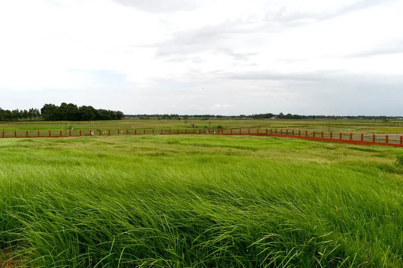 Ancient site and remains of Pandurajar Dhipi comprised in part of Survey plot No. 20. — photograph 1