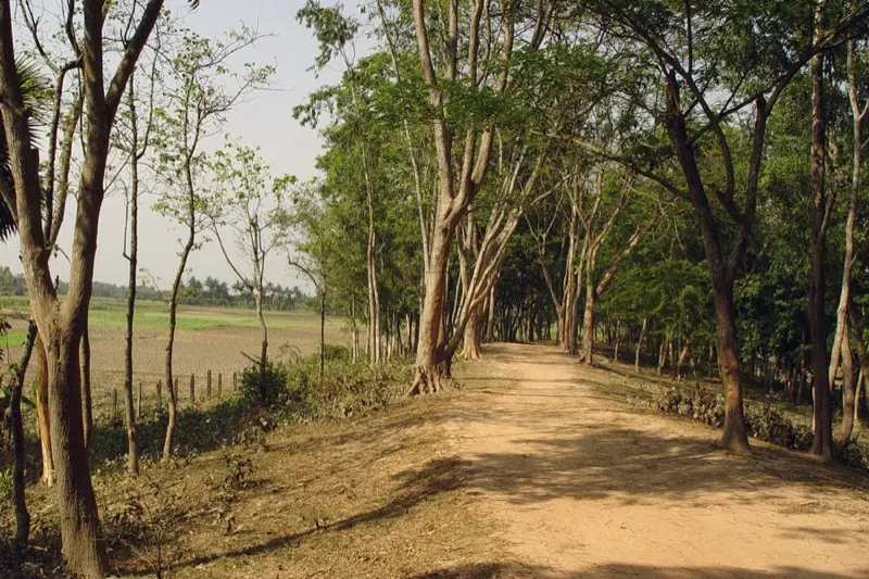Chandra Ketu’s Fort (Pre. Notification) Fort of Chandraketu (Final Notification) — photograph 6