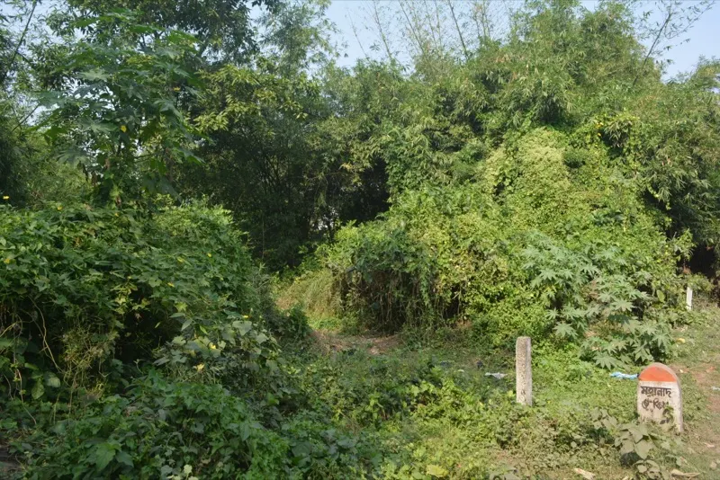 Mounds — photograph 4