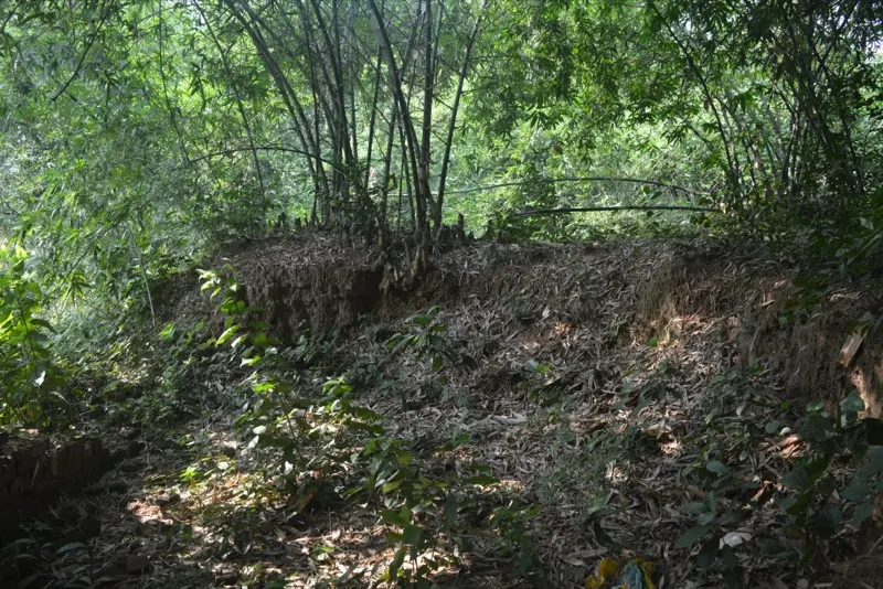 Mounds — photograph 3