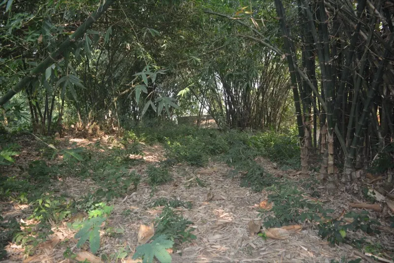 Mounds — photograph 2