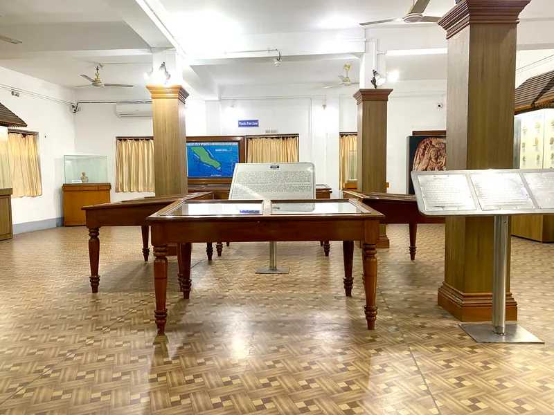 Archaeological Museum, Tamluk — photograph 5