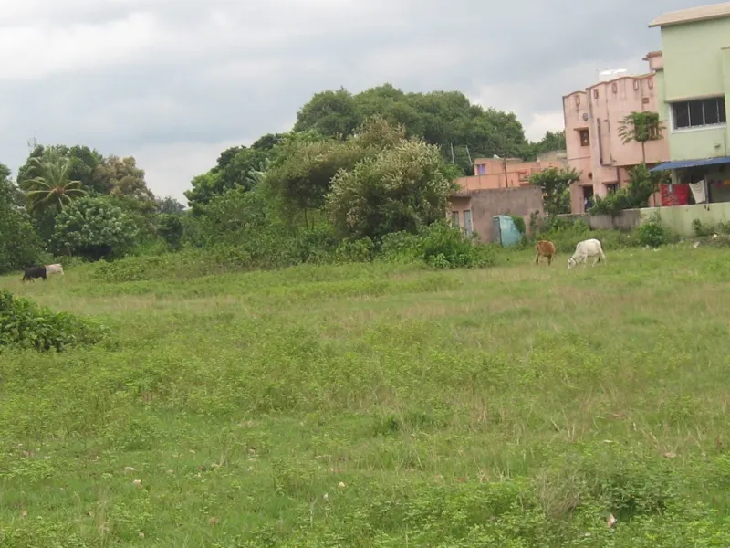 The area situated between the road to Amlajore and the river Damodar comprising plots Nos. 823, 836, 837, 841 and 872 — photograph 5