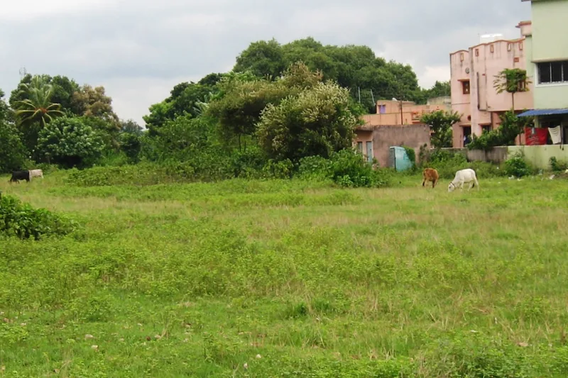 The area situated between the road to Amlajore and the river Damodar comprising plots Nos. 823, 836, 837, 841 and 872 — photograph 1