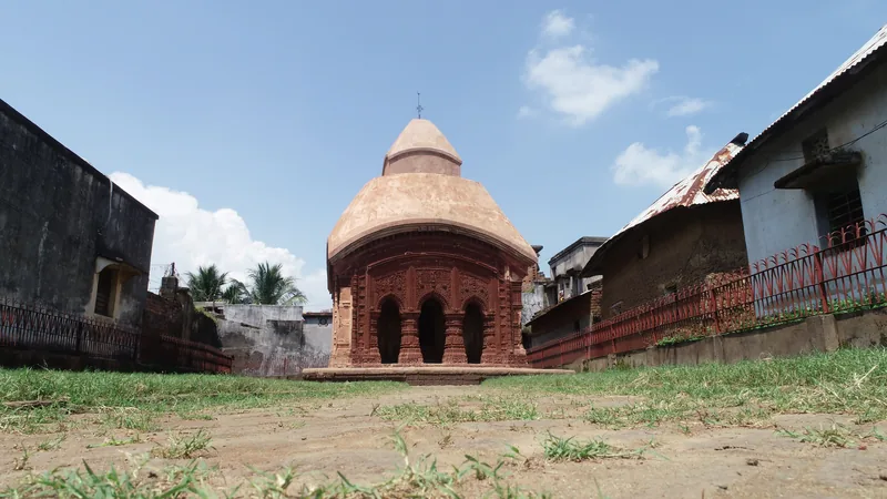 The Temple and Rasmancha — photograph 2