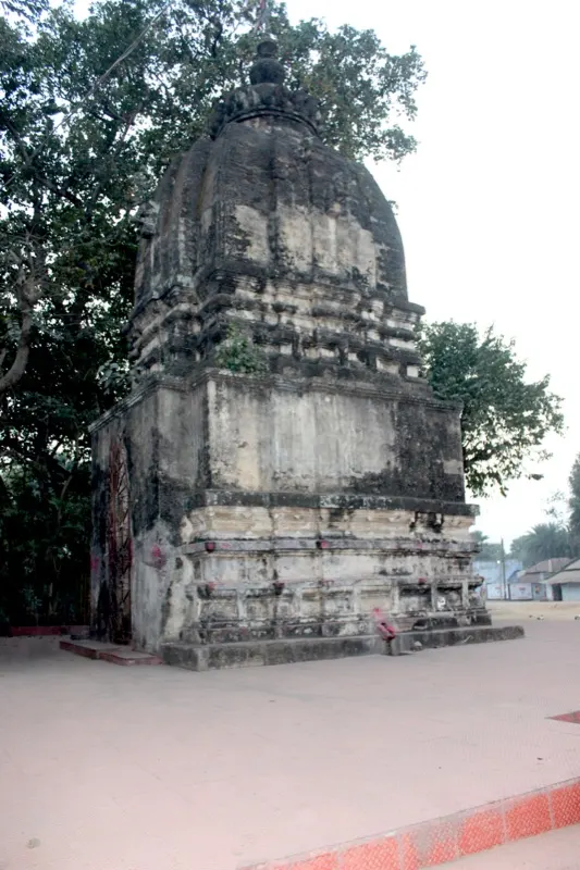 The temple of Ratneswar — photograph 5