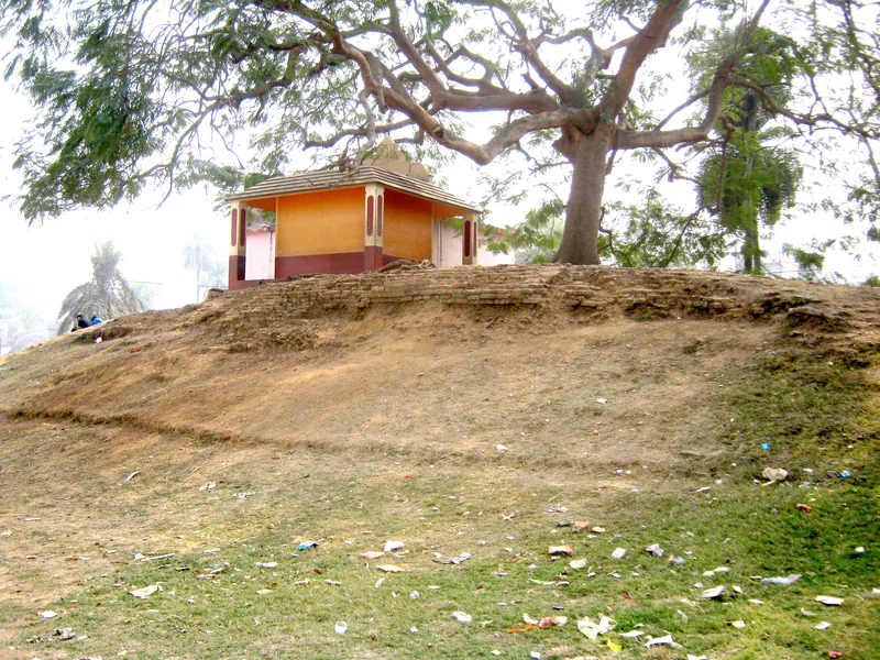 The two mounds to the north of the village Bhadeshwar — photograph 3